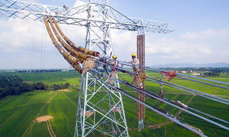 昌吉 古泉 1100千伏特高压直流输电工程豫2标段组塔施工